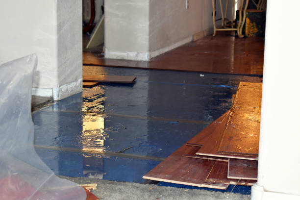 Professional Burst Pipe Cleanup technician working in Harrisburg, AR